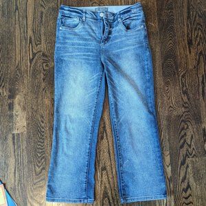 Wit and Wisdom Faded Jeans (Size 10)